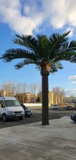 Изкуствена палма