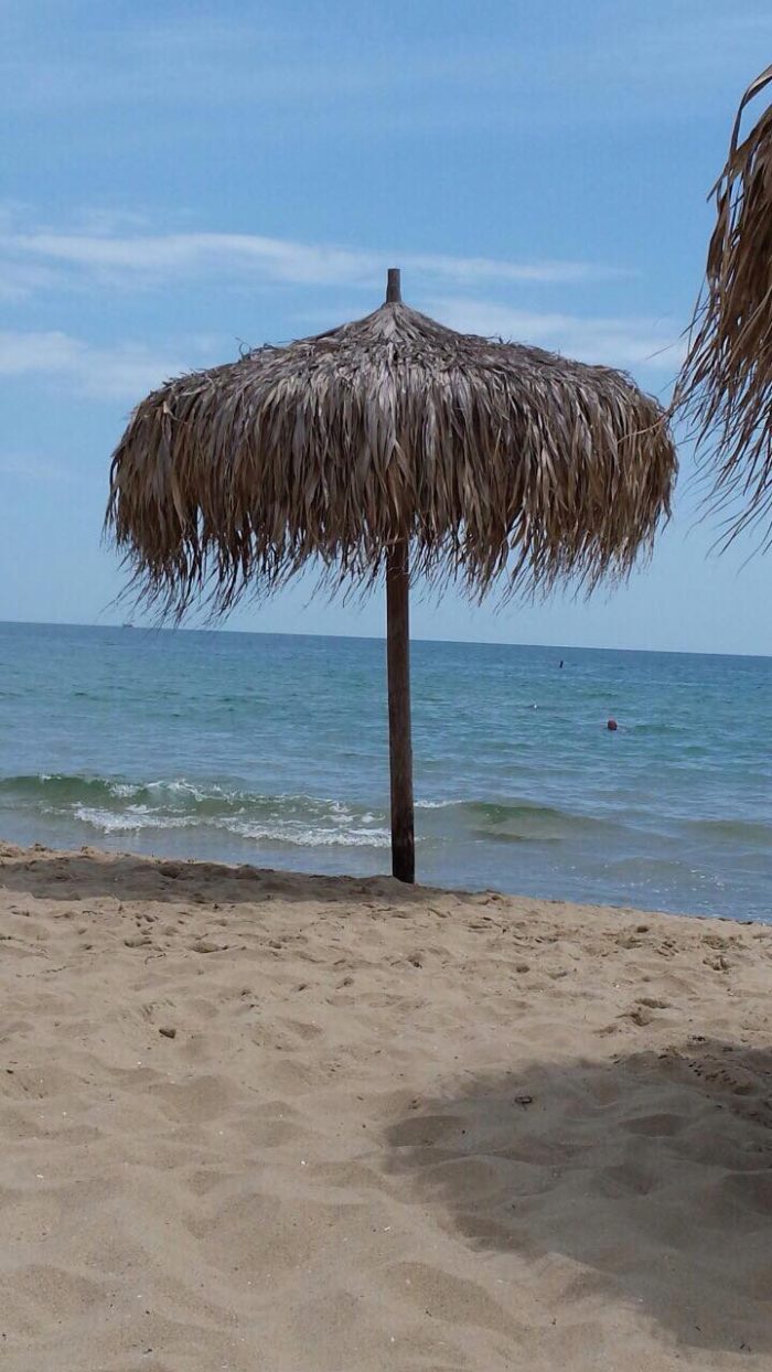 Покривала от палмови листа - Image 2