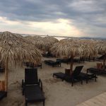 Покривала от палмови листа