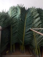 Листа за декоративни палми - Image 2